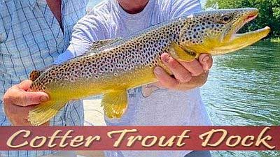 White River Trout Fishing - Arkansas Ozarks