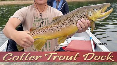 White River fishing report by Cotter Trout Dock - printed from