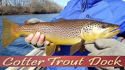 White River fishing report by Cotter Trout Dock - printed from North Texas  e-News