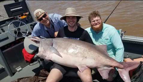 Oklahoma weekly fishing report - North Texas e-News