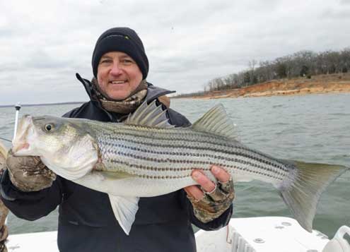 Lake Texoma Fishing Report :: Chasing the big fish - printed from