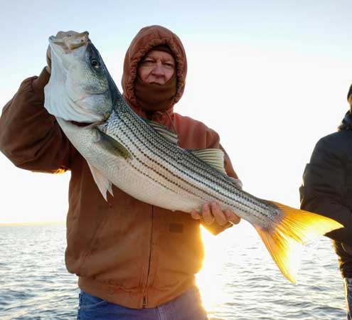 Lake Texoma Fishing Report :: Chasing the big fish - printed from