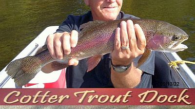 White River fishing report by Cotter Trout Dock - North Texas e-News