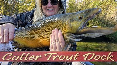 Arkansas White River Trout Fishing - Cotter Tourism - Cotter, AR