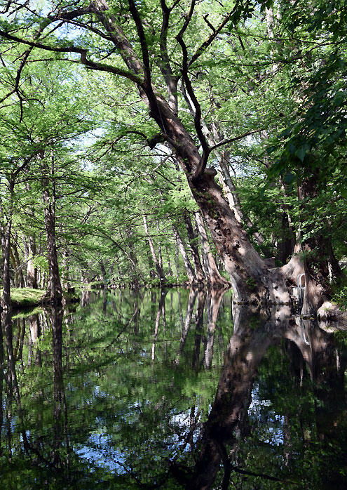 Wimberley holds on to Hill Country charm - North Texas e-News