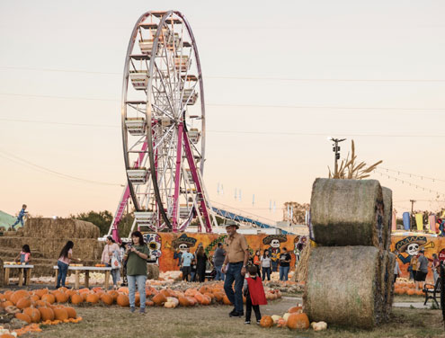 Stars and Stripes Park proposed as major new attraction - Tradition