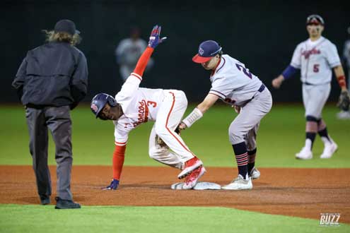 40 Atlanta Braves Mascot Homer Stock Photos, High-Res Pictures