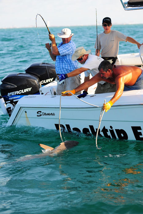 Galveston shark fishing, a family affair - North Texas e-News