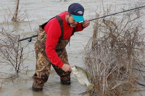 Tips on wade-fishing for crappie
