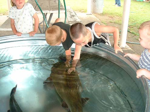 Creekbank Catfish for Laid-Back Fun