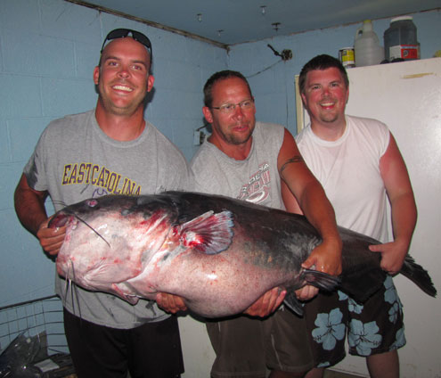 Pending world record blue catfish landed - North Texas e-News